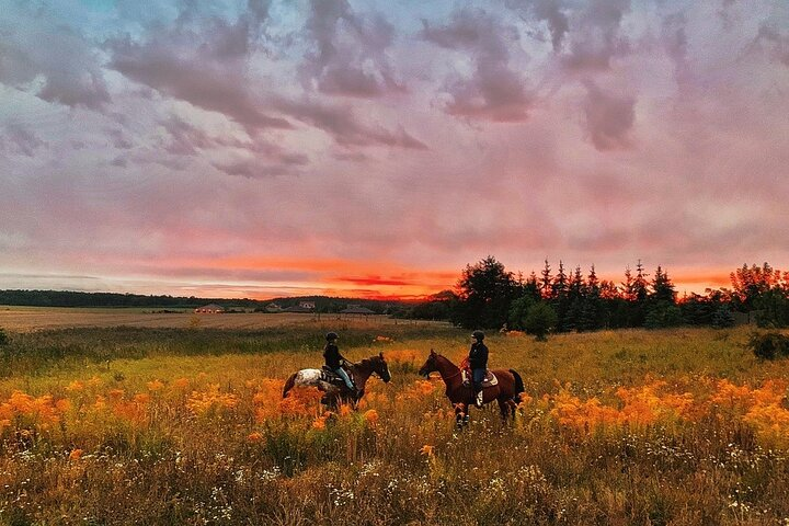 Romantic sunset ride. 